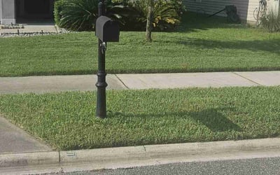 Photo of Dana M.'s yard after getting lawn care in Saint George, UT