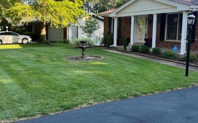 Photo of Michael L.'s yard after getting lawn care in Bellefontaine Neighbors, MO