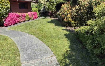 Photo of Ken M.'s yard after getting lawn care in Seattle, WA