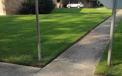 Photo of Levar P.'s yard after getting lawn care in Sebastopol, CA