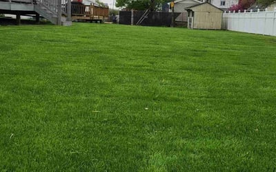 Photo of Michael H.'s yard after getting lawn care in Wayne, PA