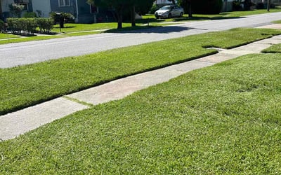 Photo of Stephanie B.'s yard after getting lawn care in Metairie, LA