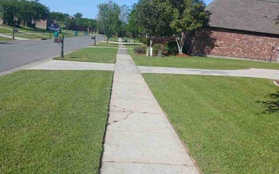 Photo of Jody P.'s yard after getting lawn care in Plaquemine, LA