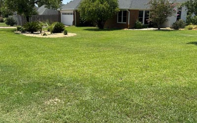 Photo of Shirley J.'s yard after getting lawn care in Panama City, FL