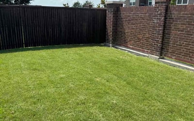 Photo of Nancy S.'s yard after getting lawn care in Stamford, CT