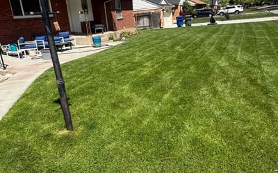 Photo of Kay T.'s yard after getting lawn care in Farmington, UT