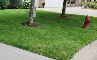 Photo of Latoya M.'s yard after getting lawn care in Chanhassen, MN