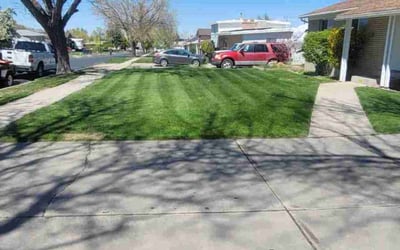 Photo of Mckenzie A.'s yard after getting lawn care in Tooele, UT