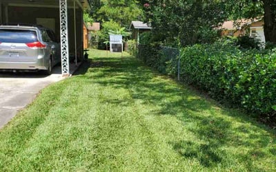 Photo of Derrick J.'s yard after getting lawn care in Collegeville, PA