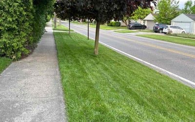 Photo of Kamal L.'s yard after getting lawn care in Berkley, MI