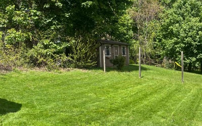 Photo of Kenneth J.'s yard after getting lawn care in Plano, TX