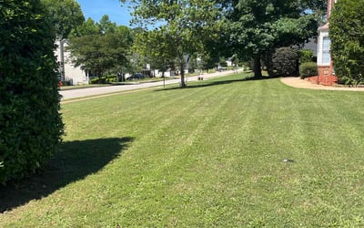 Photo of Viktoria D.'s yard after getting lawn care in Flowery Branch, GA