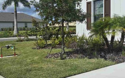 Photo of Cari S.'s yard after getting lawn care in Englewood, FL