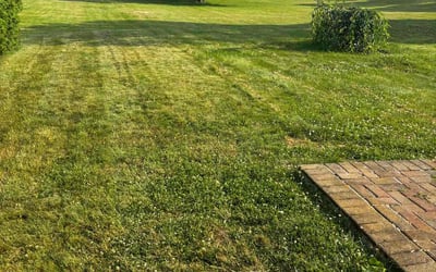 Photo of Cynthia G.'s yard after getting lawn care in Ellington, CT