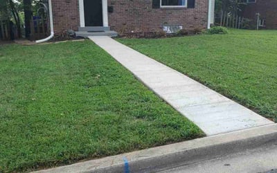Photo of Leon L.'s yard after getting lawn care in Silver Spring, MD
