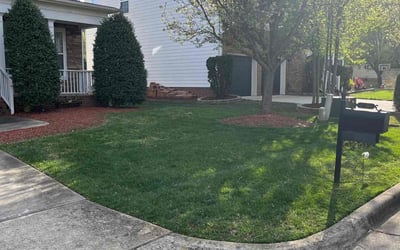 Photo of Michael S.'s yard after getting lawn care in Four Oaks, NC
