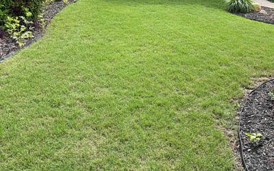 Photo of Brandon H.'s yard after getting lawn care in North Port, FL