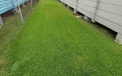 Photo of Lance T.'s yard after getting lawn care in La Place, LA