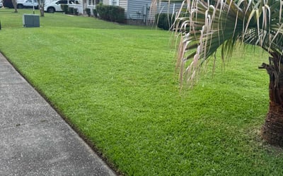 Photo of Robert G.'s yard after getting lawn care in Burlington, KY