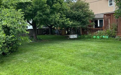 Photo of Kim G.'s yard after getting lawn care in Shawnee, KS