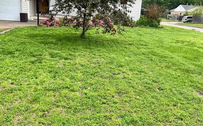 Photo of David H.'s yard after getting lawn care in El Dorado, KS