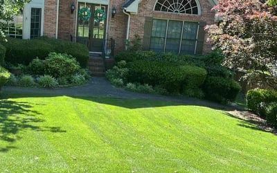 Photo of Alex P.'s yard after getting lawn care in Bath, ME