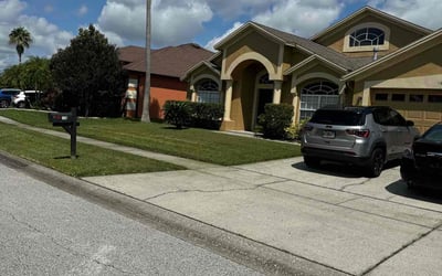 Photo of Brandon B.'s yard after getting lawn care in Carrollwood, FL