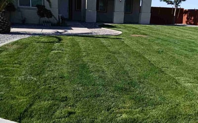 Photo of Elizabeth G.'s yard after getting lawn care in Hesperia, CA