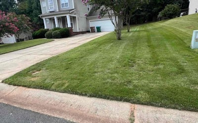 Photo of Matthew K.'s yard after getting lawn care in Waxhaw, NC