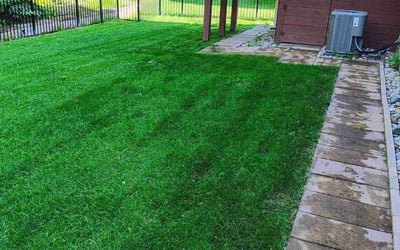 Photo of Mary B.'s yard after getting lawn care in Westland, MI