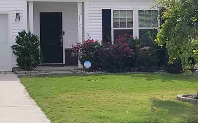 Photo of Elizabeth K.'s yard after getting lawn care in Fort Mill, SC