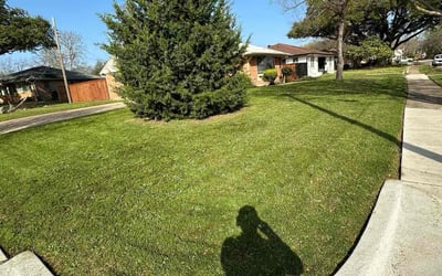 Photo of Fred O.'s yard after getting lawn care in East Greenwich, RI