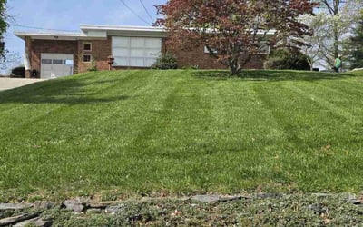 Photo of Jim M.'s yard after getting lawn care in King Of Prussia, PA