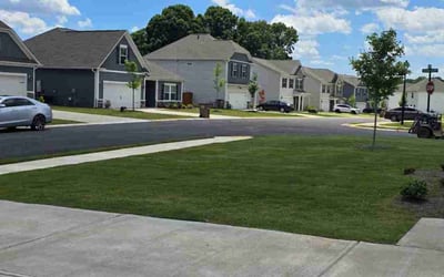 Photo of Michael B.'s yard after getting lawn care in Piedmont, SC
