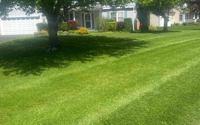 Photo of Jamie C.'s yard after getting lawn care in Spencerport, NY
