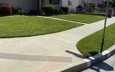Photo of Tawana S.'s yard after getting lawn care in South El Monte, CA