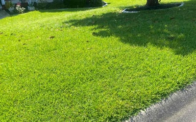Photo of Nayoun L.'s yard after getting lawn care in Columbia, SC