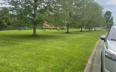 Photo of Arnita Y.'s yard after getting lawn care in Alexandria, KY