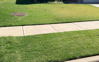 Photo of Amanda f.'s yard after getting lawn care in Edmond, OK