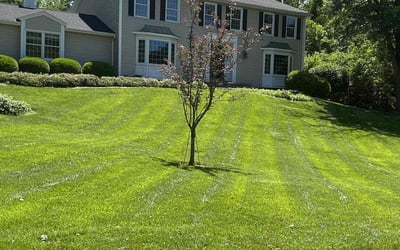 Photo of Sharon C.'s yard after getting lawn care in Middletown, PA