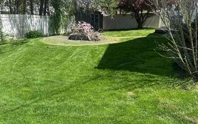 Photo of Lucille E.'s yard after getting lawn care in Hellertown, PA