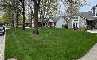 Photo of Florentino F.'s yard after getting lawn care in Wichita, KS