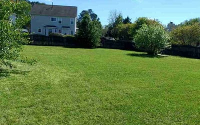 Photo of Mary S.'s yard after getting lawn care in Apex, NC