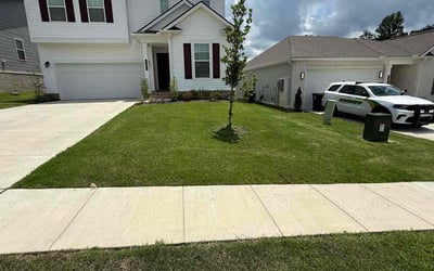Photo of Brandon C.'s yard after getting lawn care in Doylestown, PA