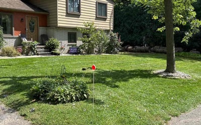 Photo of Robin D.'s yard after getting lawn care in Oxford, MI