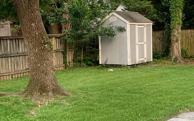 Photo of Kathryn F.'s yard after getting tree care in Beltsville, MD