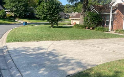 Photo of Jeanette A.'s yard after getting lawn care in Dover, NJ