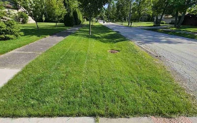 Photo of Terry S.'s yard after getting lawn care in Willowbrook, IL