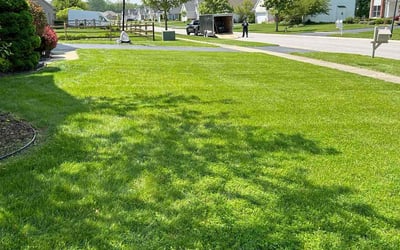 Photo of Ashley K.'s yard after getting lawn care in Toledo, OH