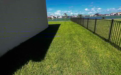 Photo of Clint M.'s yard after getting lawn care in Hobe Sound, FL